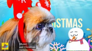 Новогодняя детская песня Акуленок Беби Шарк или Baby shark Christmas