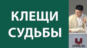 История из жизни пророка Юсуфа