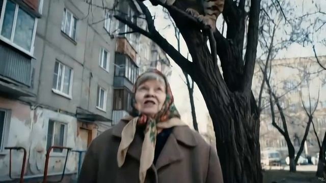 Барсик у бабушки 🙀