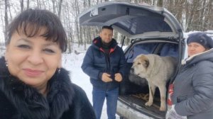 Установка новогодней елки в деревенской избе. Еще один член семьи. Жизнь в деревне.