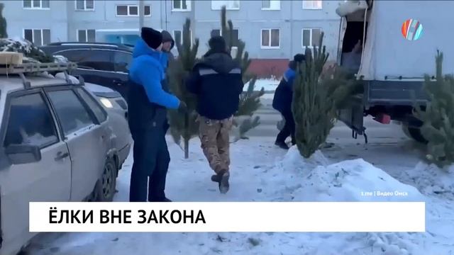 Ёлки вне закона смотреть онлайн