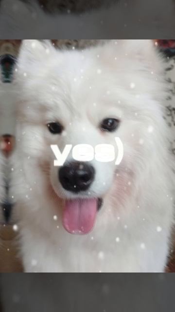 ЭДИТ ФАРТУНЫ? смотреть онлайн