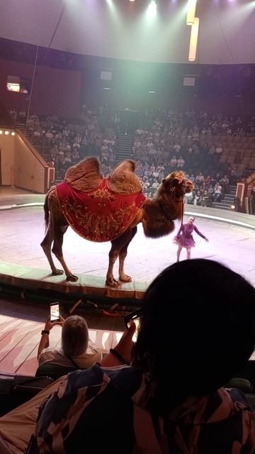 цирк 🎪 смотреть онлайн