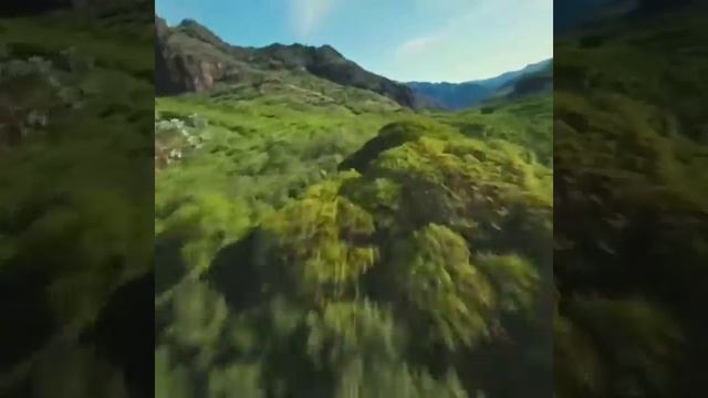 Mateos - My Hobbies смотреть онлайн