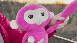 СПАСЛИ ИЗ САВАННЫ обезьяну Люську и пошли с ней львов угощать!  Тайган