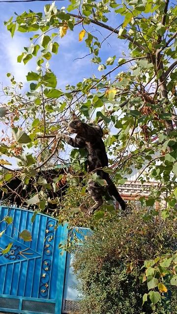 Счастливый случай смотреть онлайн