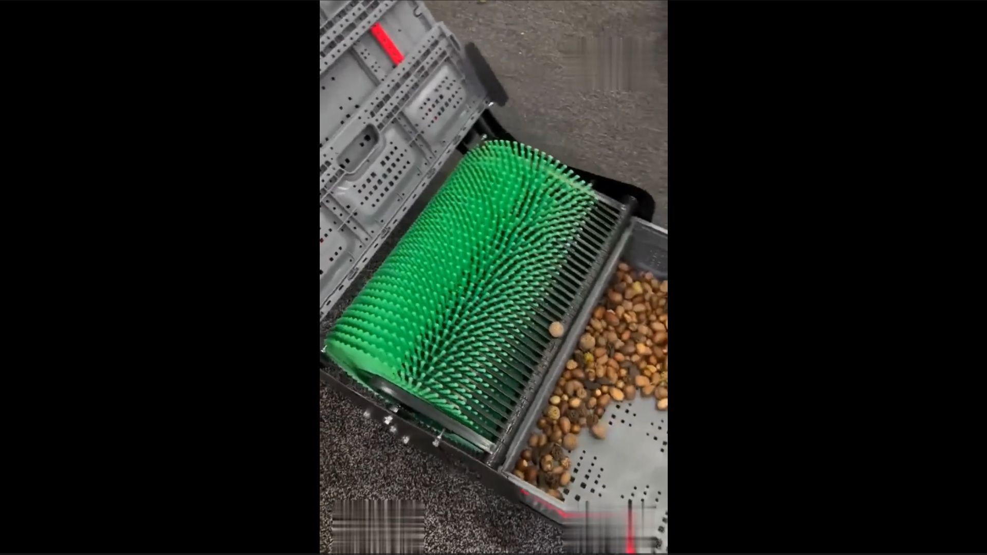 Самодельное устройство сбора орехов смотреть онлайн