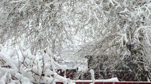 С НОВЫМ 2026-М!