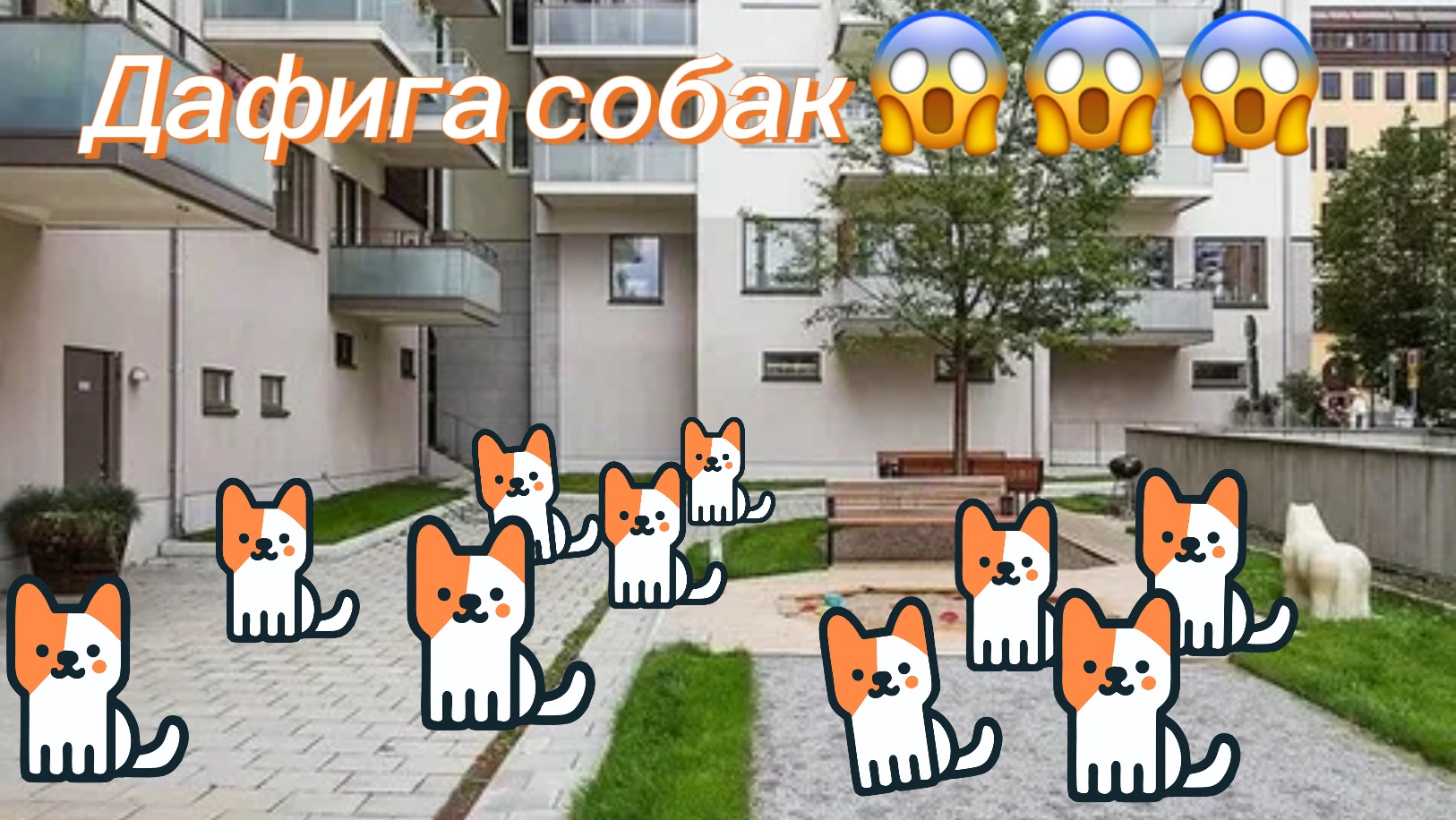 Дафига собак в Минеральных Водах 😱😱😱