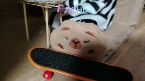 Капибара упал со скейта🛹он 3 дня лежит дома😱