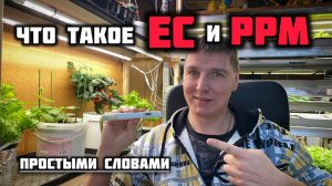 EC и ppm. Что это такое?