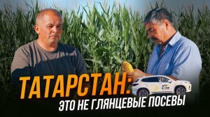 Татарстан: как здесь выращивают кукурузу? | Агрохолдинг Красный Восток | Агро тревел-шоу | АгроВояж