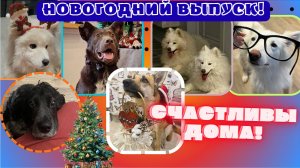 Истории, которые согревают сердца!♥️ Подведение итогов.  #новыйгод #2026 #2026год