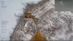 💥☠Живая сила противника. Работает «Рубикон»