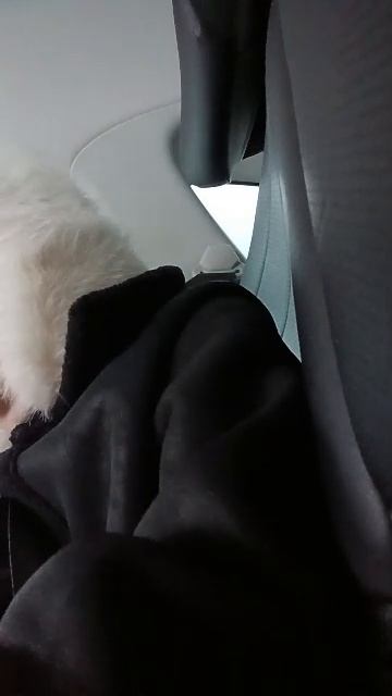 распоковка смотреть онлайн