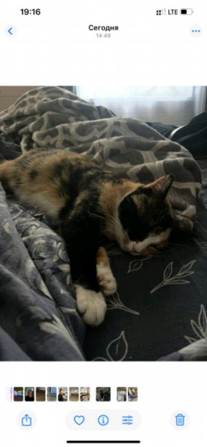 я приглашаю вас, в YAPPY там у меня очень много видео.