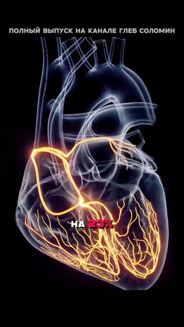 Овощи невероятно полезны | Гаглошвили | Полный выпуск на канале «Глеб Соломин» смотреть онлайн