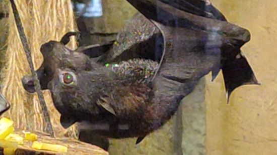 Большая летучая мышь смотреть онлайн