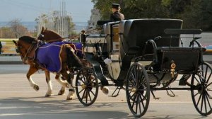 Вы уезжали в даль. Автор стихов Алла Волонтырёва. Музыка и исполнение Николай Саллас