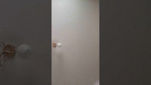 до нового совсем чуть чуть