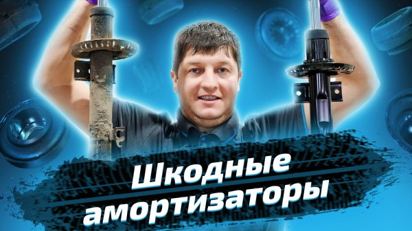 Замена передних амортизаторов на Skoda Rapid