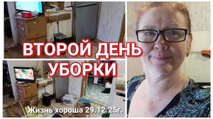 ВТОРОЙ ДЕНЬ УБОРКИ _ ЖИЗНЬ В ДЕРЕВНЕ _ ЖИЗНЬ ХОРОША 29.12.25