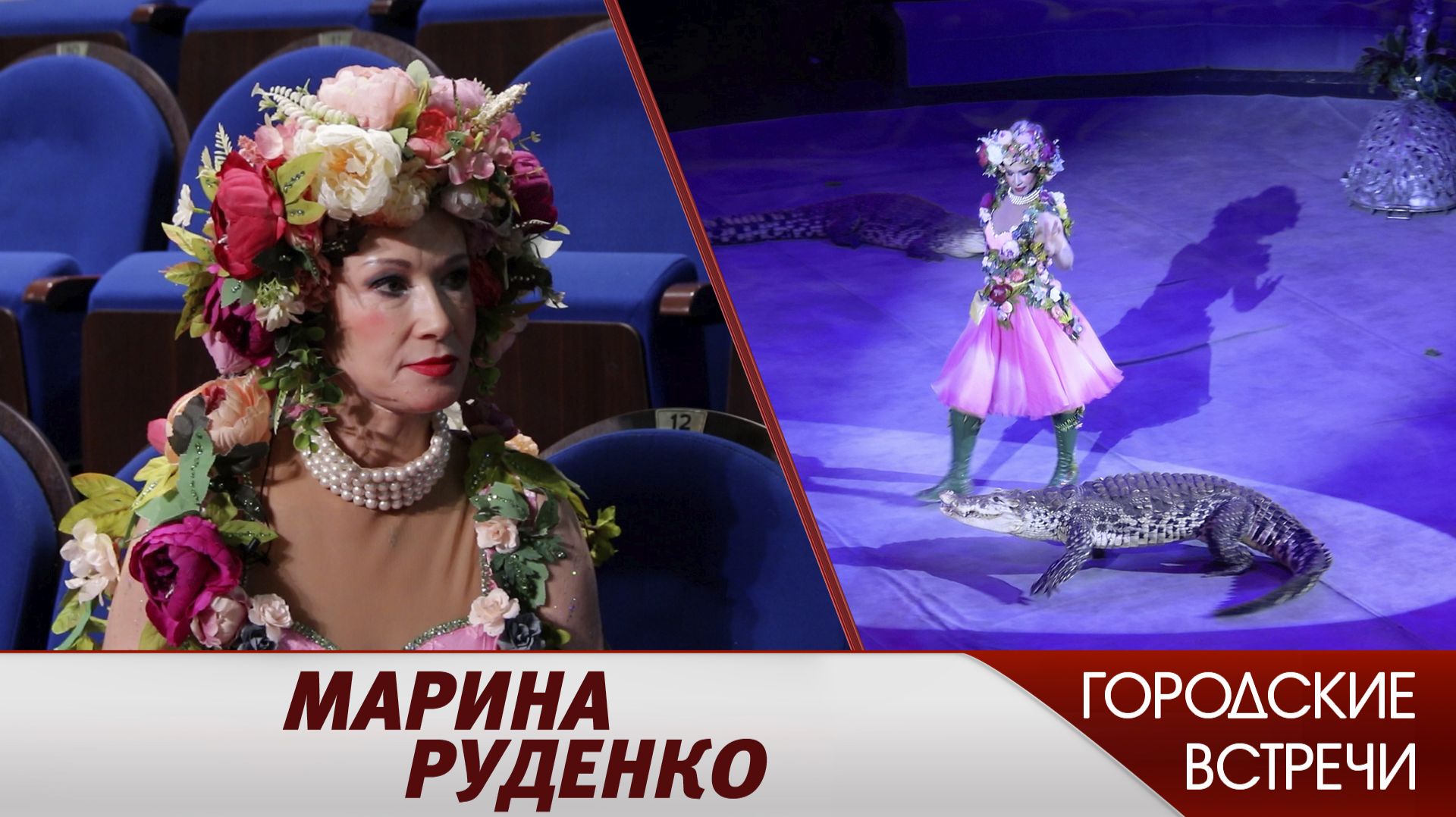 Как приручить крокодила? // «Городские встречи» смотреть онлайн