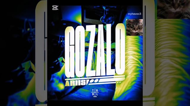 Gonzalo (speed up,original,super slowed,ultra slowed) by myhavoc3 and youtube1 смотреть онлайн