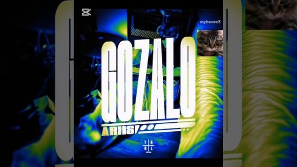 Gonzalo (speed up,original,super slowed,ultra slowed) by myhavoc3 and youtube1