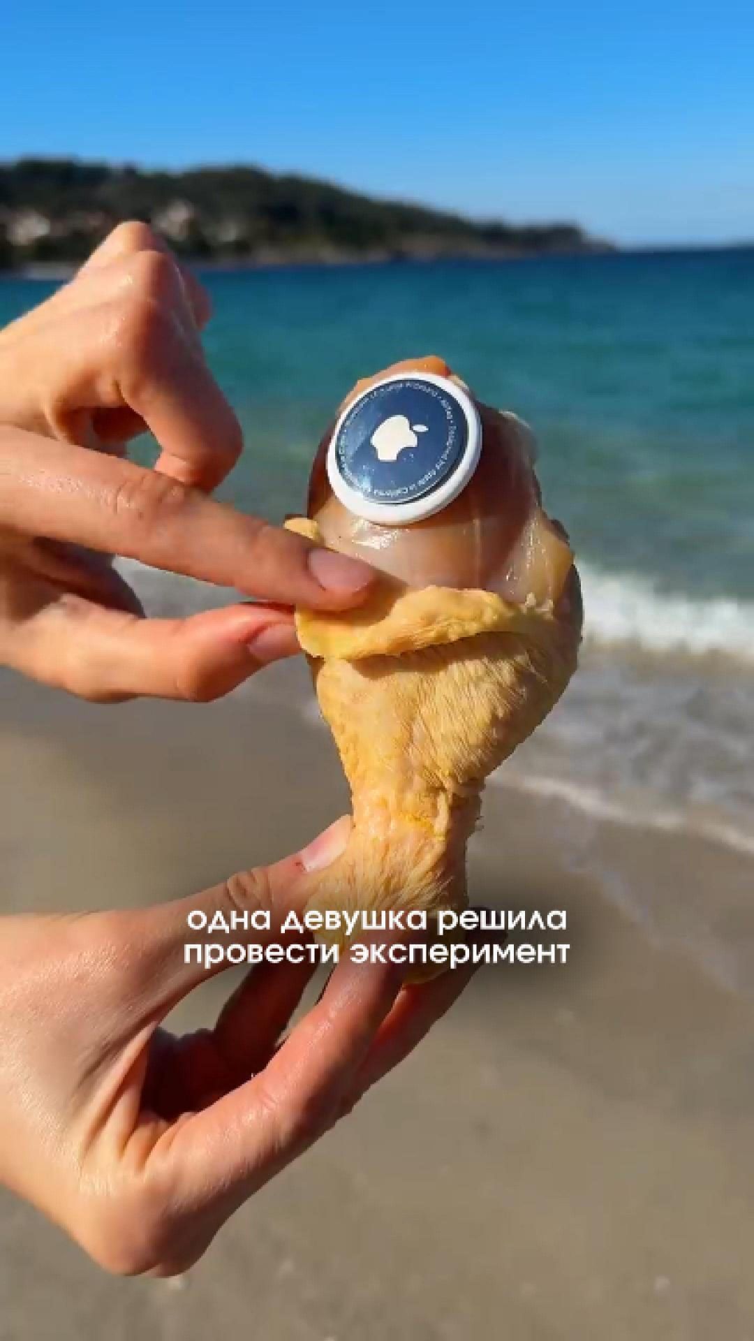 😳 Эксперимент с курицей