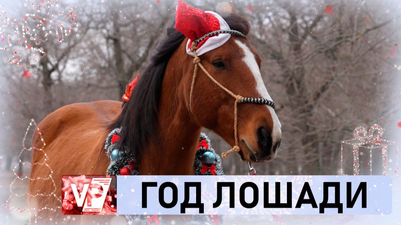 ВОЛГОГРАДЦАМ РАССКАЗАЛИ, КАК ВЕСТИ СЕБЯ В ГОД ОГНЕННОЙ ЛОШАДИ смотреть онлайн