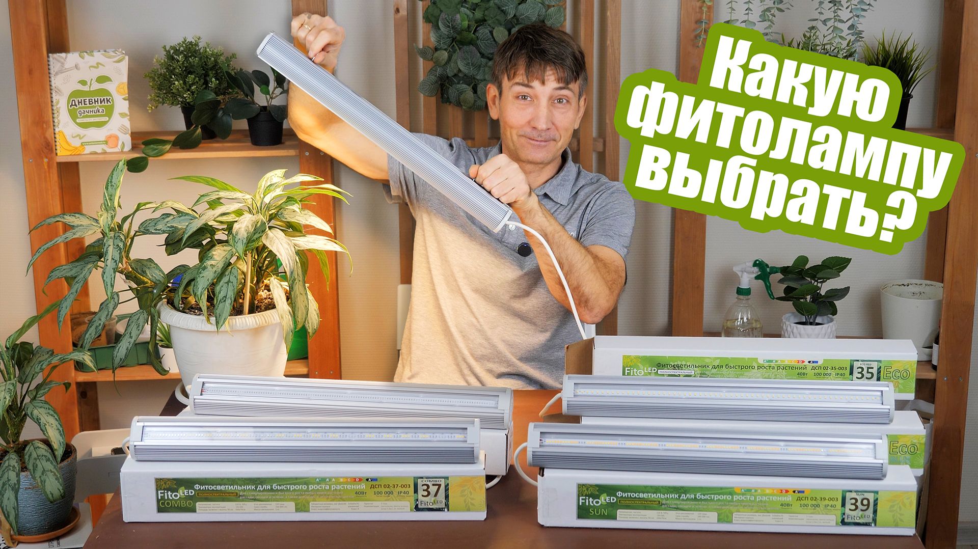 Обзор фитоламп: выбираем лампу для рассады, цветущих и декоративно-лиственных растений смотреть онлайн