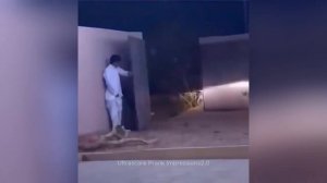 Юмор,приколы,испуг61