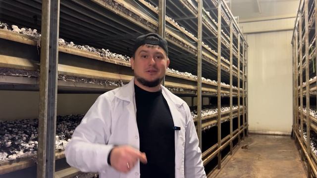 ПОДВОЖУ ИТОГИ 2025 🎄 смотреть онлайн