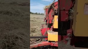 Заготовка сена, всё этапы