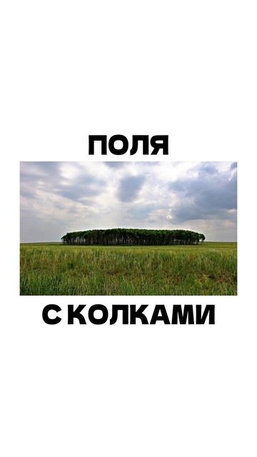 ОТКУДА ВЗЯЛОСЬ "С ПОЛЕМ!" ??? #shorts #охота смотреть онлайн