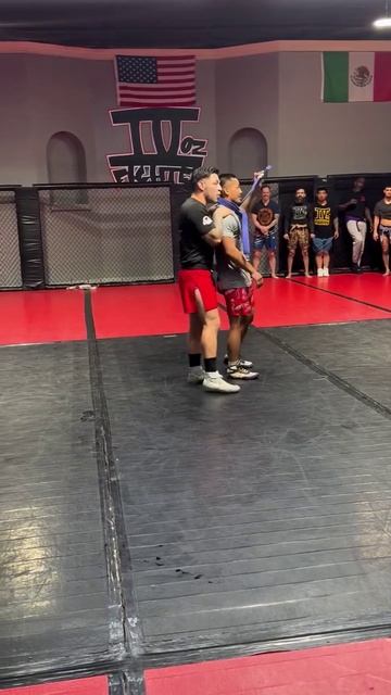 Джошуа Ван получил синий пояс по бразильскому джиу-джитсу 🟦 смотреть онлайн