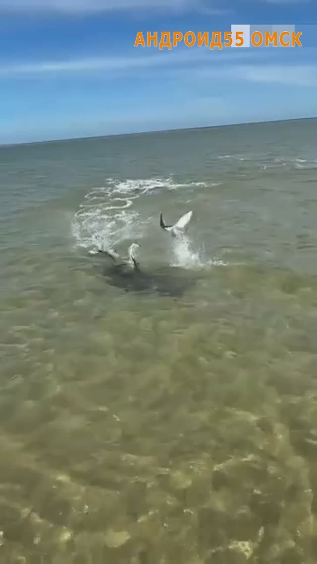 Жить захочешь - ещё не так залетаешь🤣 смотреть онлайн