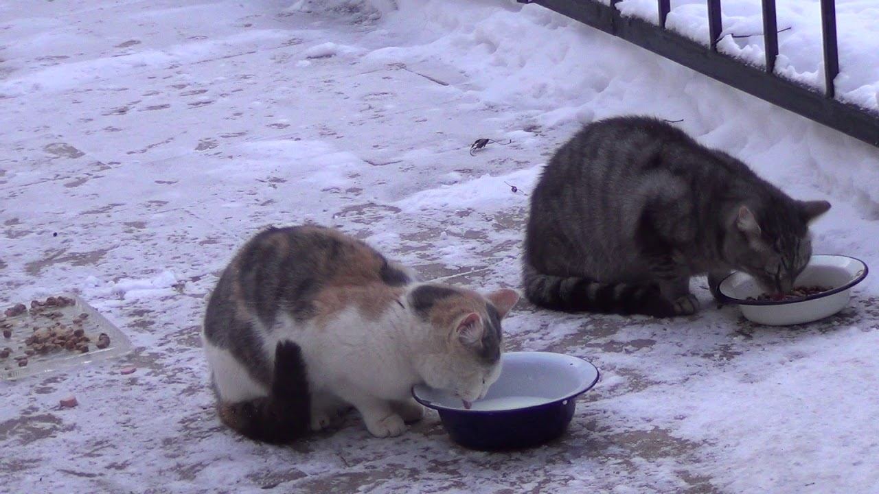 00180 смотреть онлайн