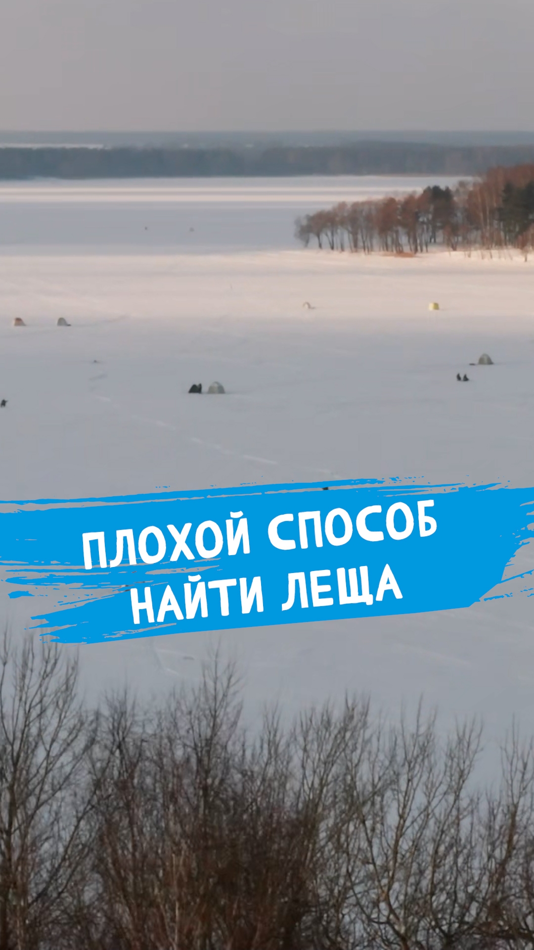 Вам поболтать или половить? #dunaevmedia #рыбалка смотреть онлайн