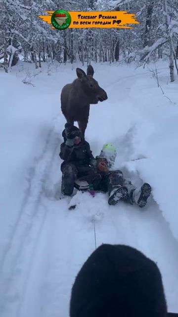 TELEBLOG REKLAMA смотреть онлайн