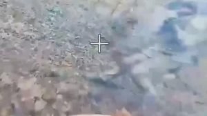 Были да сплыли №58