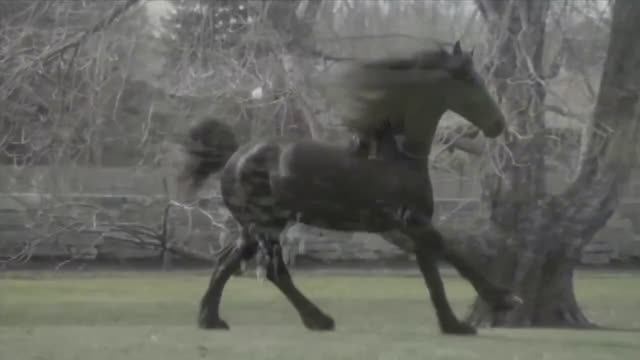 Моя дорога (клип)