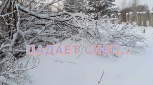 ПАДАЕТ СНЕГ...