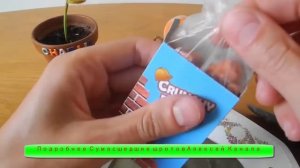 Mukbang ASMR | Сумасшедший прием пищи Алексей ест кирпичи и ?