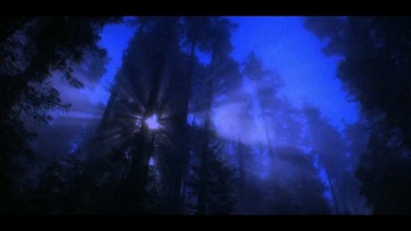 skyfall beats - bipolar