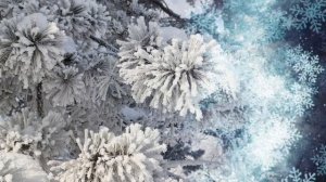 Новогодняя мелодия-зимняя сказка