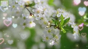 Прекрасная весенняя музыка 🌸 Спокойные расслабляющие мелодии для умиротворения души