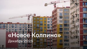 «Новое Колпино» / Декабрь 2025