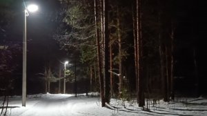 ПОСЛЕДНИЕ МГНОВЕНИЯ УХОДЯЩЕГО ГОДА